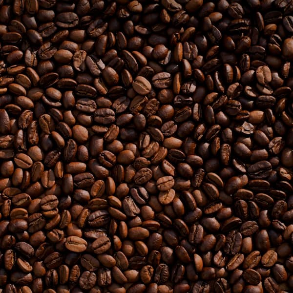 Arabica Bali Kintamani