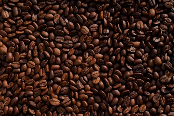 Excelsa Wonosalam gallery 1